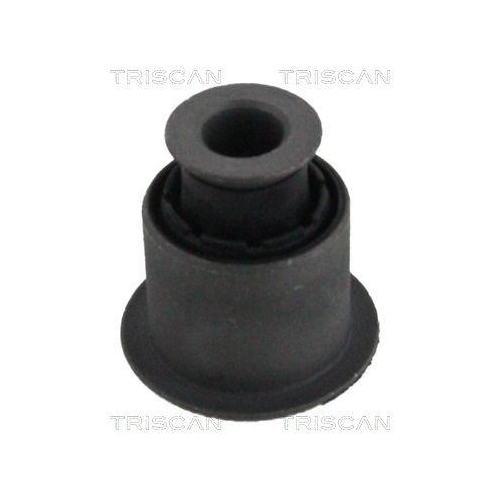 TRISCAN Lagerung, Lenker