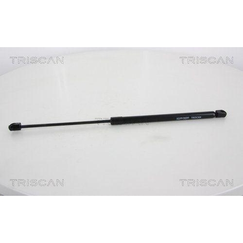 TRISCAN Gasfeder, Koffer-/Laderaum