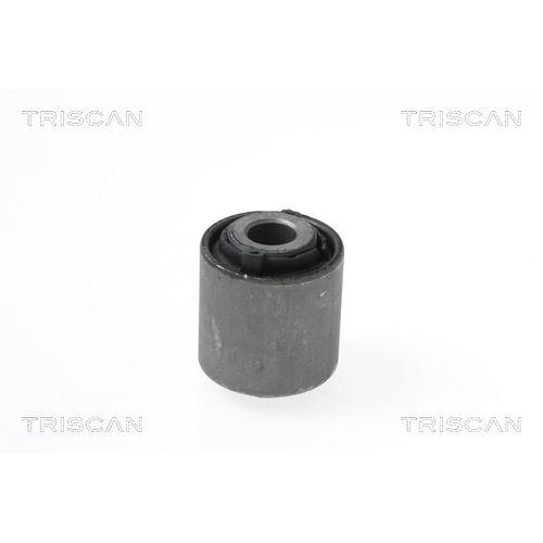 TRISCAN Lagerung, Lenker