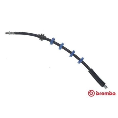 BREMBO Bremsschlauch ESSENTIAL LINE