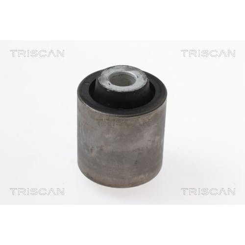 TRISCAN Lagerung, Lenker