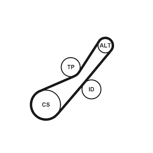 CONTINENTAL CTAM Keilrippenriemensatz