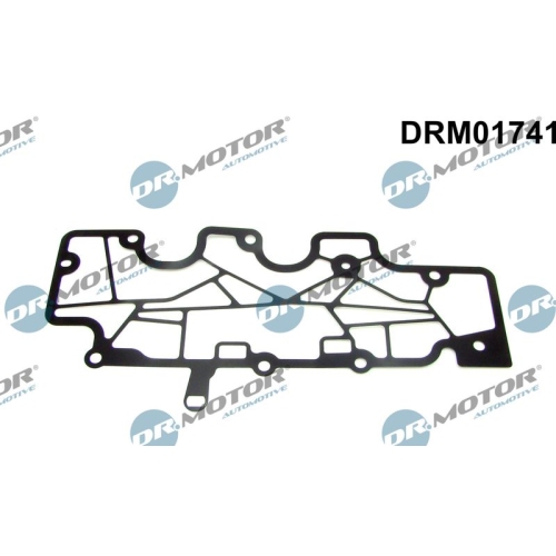 Dr.Motor Automotive Dichtung, Kurbelgehäuseentlüftung