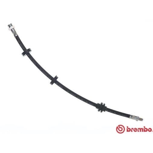 BREMBO Bremsschlauch ESSENTIAL LINE