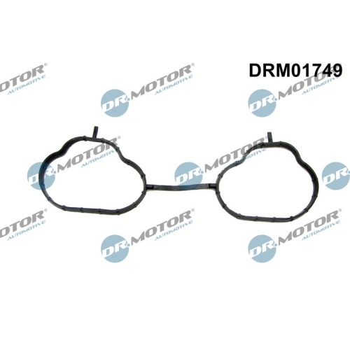 Dr.Motor Automotive Dichtung, Ansaugkrümmer
