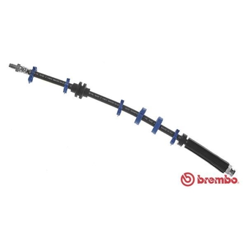 BREMBO Bremsschlauch ESSENTIAL LINE