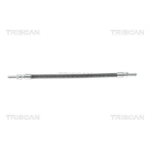 TRISCAN Bremsschlauch