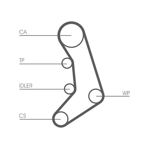 CONTINENTAL CTAM Zahnriemen