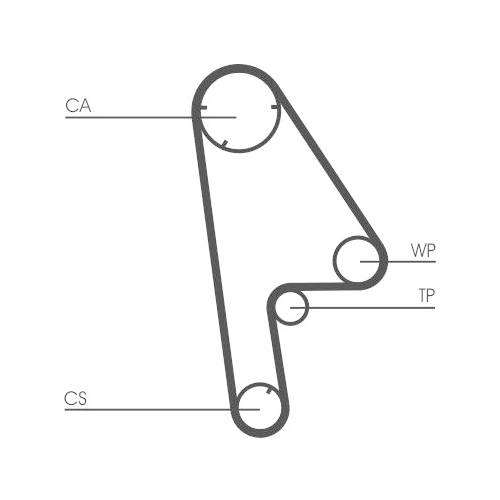 CONTINENTAL CTAM Zahnriemen