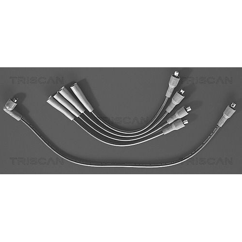 TRISCAN Zündleitungssatz