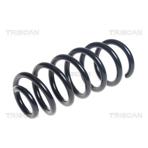 TRISCAN Fahrwerksfeder