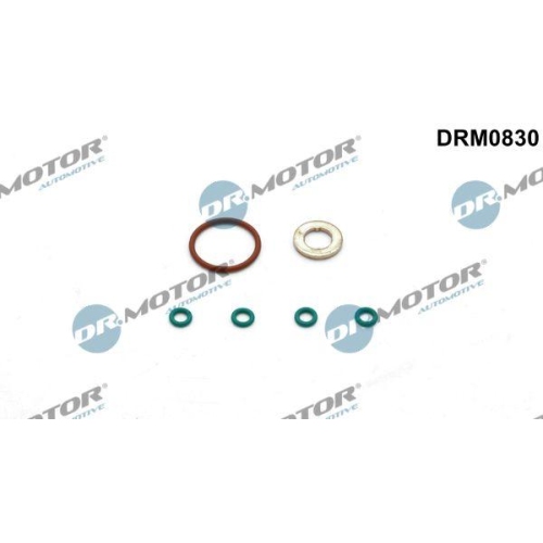 Dr.Motor Automotive Dichtungssatz, Einspritzdüse