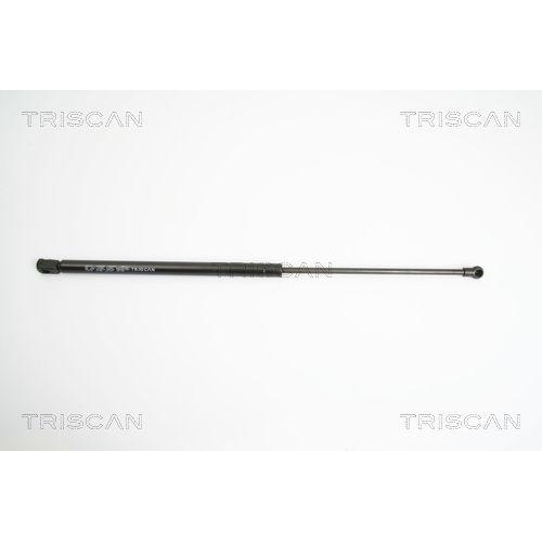 TRISCAN Gasfeder, Koffer-/Laderaum