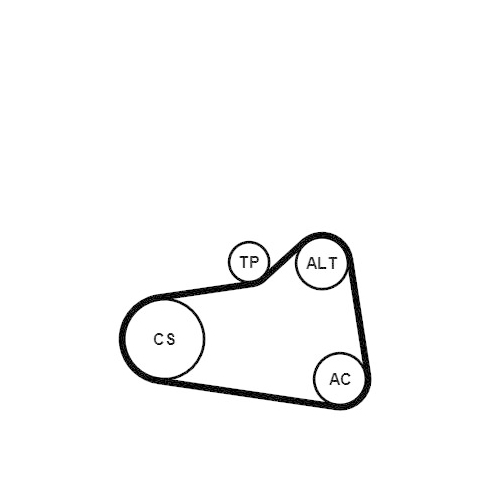 CONTINENTAL CTAM Keilrippenriemensatz