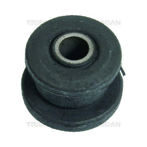 TRISCAN Lagerung, Lenker