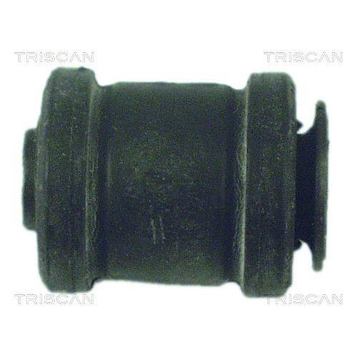 TRISCAN Lagerung, Lenker