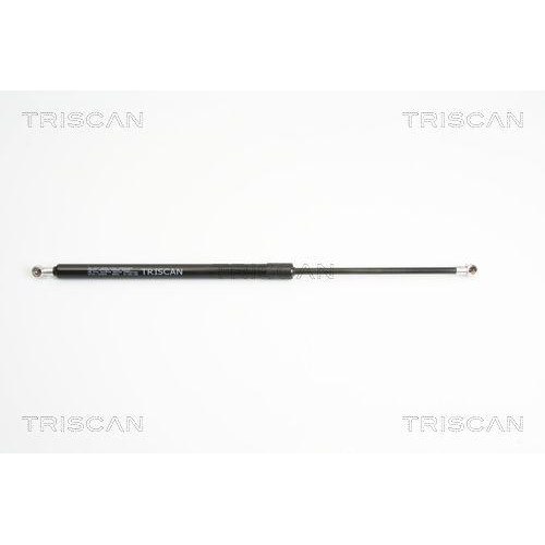 TRISCAN Gasfeder, Koffer-/Laderaum