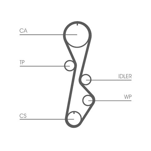 CONTINENTAL CTAM Zahnriemen