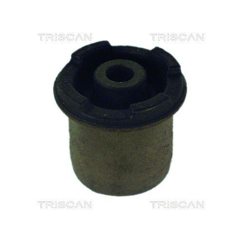 TRISCAN Lagerung, Lenker