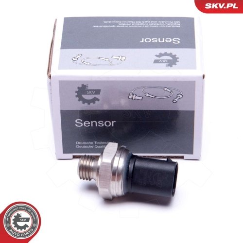 ESEN SKV Sensor, Abgasdruck