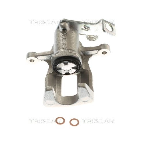 TRISCAN Bremssattel