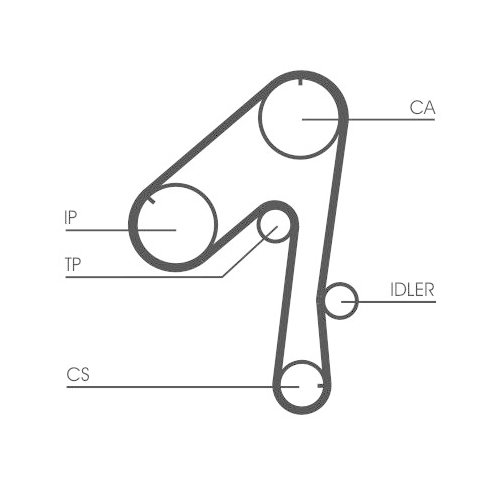 CONTINENTAL CTAM Zahnriemen