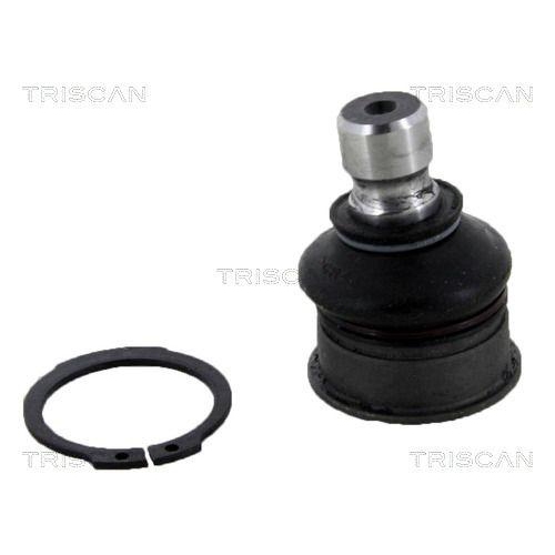 TRISCAN Trag-/Führungsgelenk