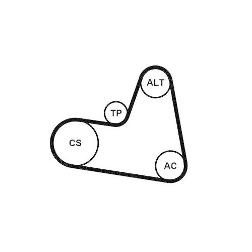 CONTINENTAL CTAM Keilrippenriemensatz