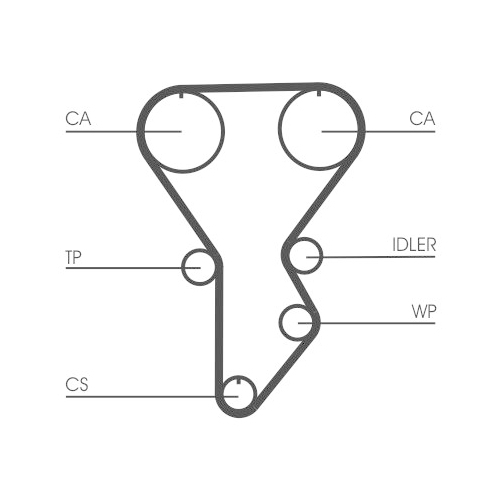 CONTINENTAL CTAM Zahnriemen