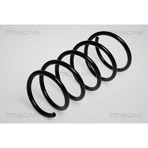 TRISCAN Fahrwerksfeder