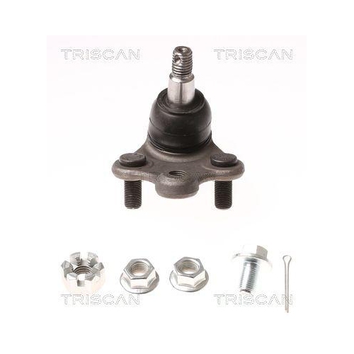 TRISCAN Trag-/Führungsgelenk
