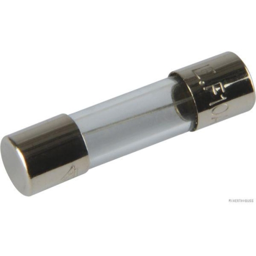 HERTH+BUSS ELPARTS Sicherung