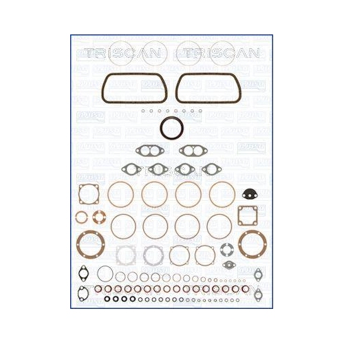 TRISCAN Dichtungsvollsatz, Motor