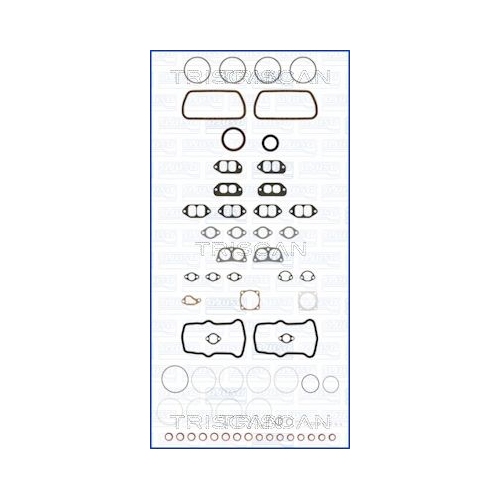 TRISCAN Dichtungsvollsatz, Motor