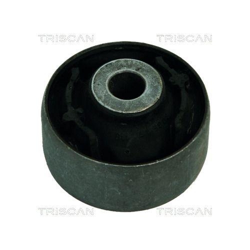 TRISCAN Lagerung, Lenker