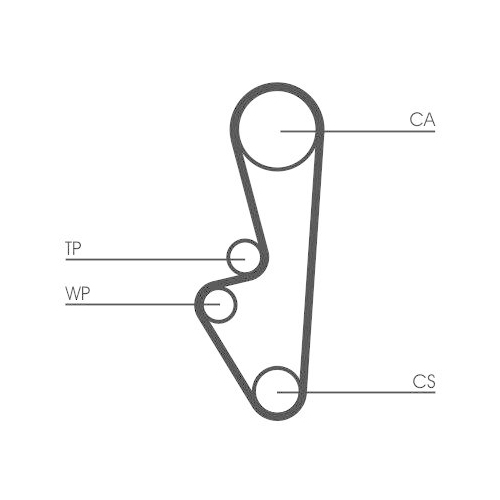 CONTINENTAL CTAM Zahnriemen