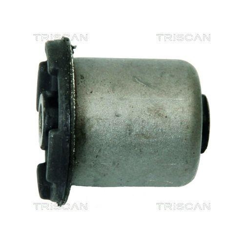 TRISCAN Lagerung, Lenker