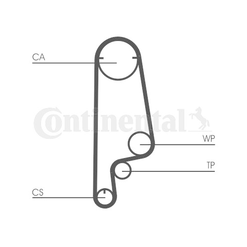 CONTINENTAL CTAM Zahnriemen