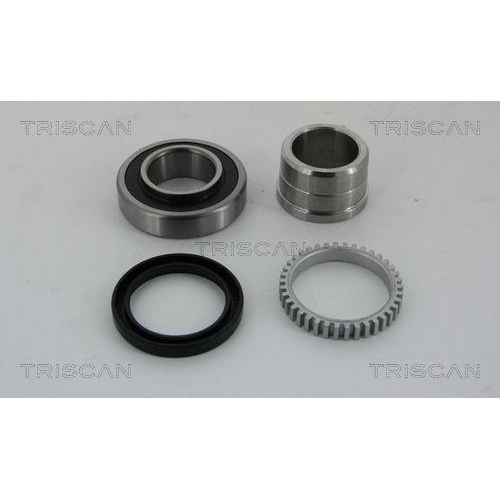 TRISCAN Radlagersatz