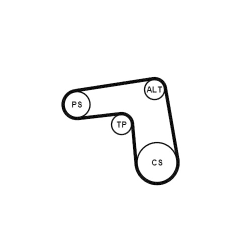 CONTINENTAL CTAM Keilrippenriemensatz