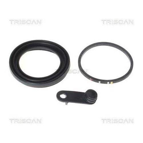 TRISCAN Dichtung, Bremssattelkolben