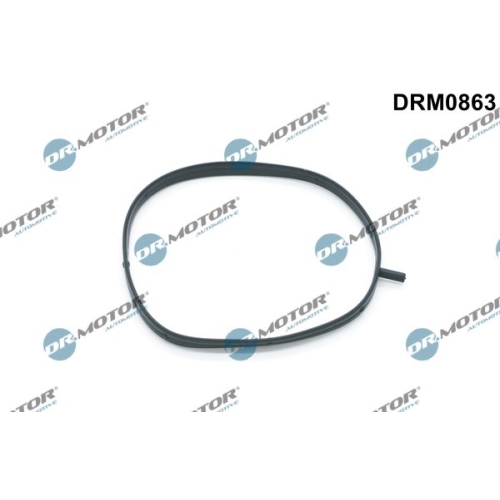 Dr.Motor Automotive Dichtung, Ansaugkrümmergehäuse