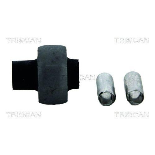 TRISCAN Lagerung, Lenker