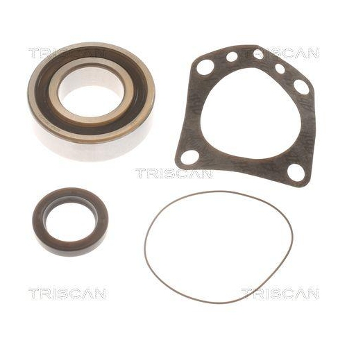 TRISCAN Radlagersatz