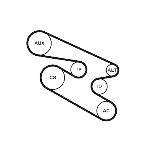 CONTINENTAL CTAM Keilrippenriemensatz