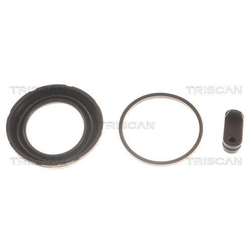 TRISCAN Dichtung, Bremssattelkolben