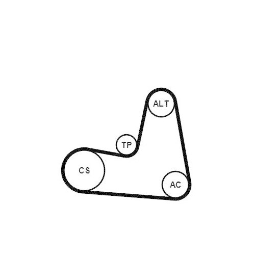 CONTINENTAL CTAM Keilrippenriemensatz