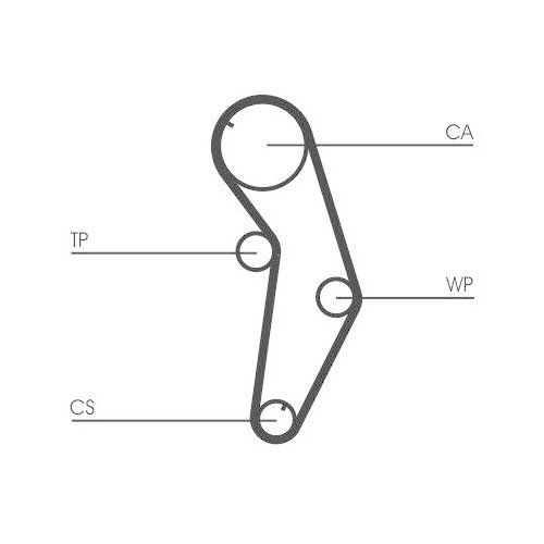 CONTINENTAL CTAM Zahnriemen