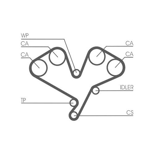 CONTINENTAL CTAM Zahnriemen