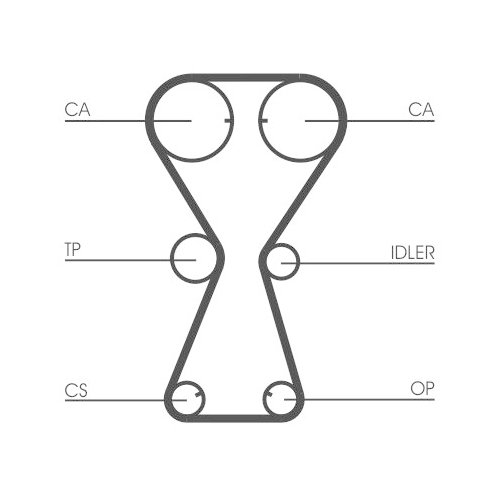 CONTINENTAL CTAM Zahnriemen